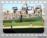Cubs Win